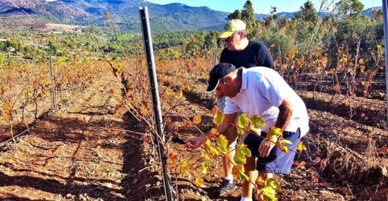 Wine Tour Sardinia - Booking Flexibility