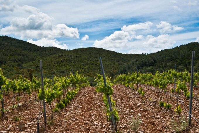 Wine Tour Sardinia - Customer Feedback