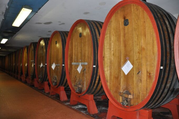 Wine Tour Sardinia - Winery Visit Insights