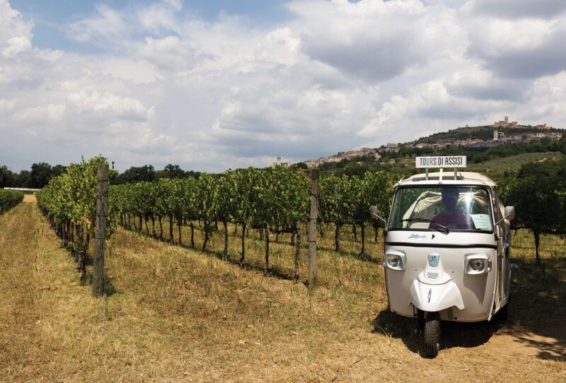 Wine Tour Spello in Tuk Tuk - Key Points