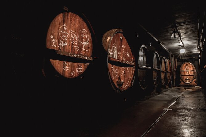 Wine Tour, Tasting and Picnic Basket - Customer Feedback Highlights