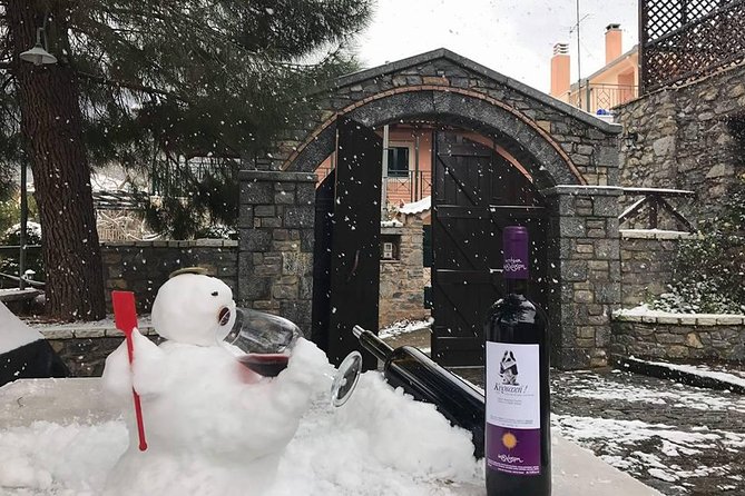 Wine Tour & Tasting in an Organic Winery in Arcadia, Greece! - Pricing and Reviews