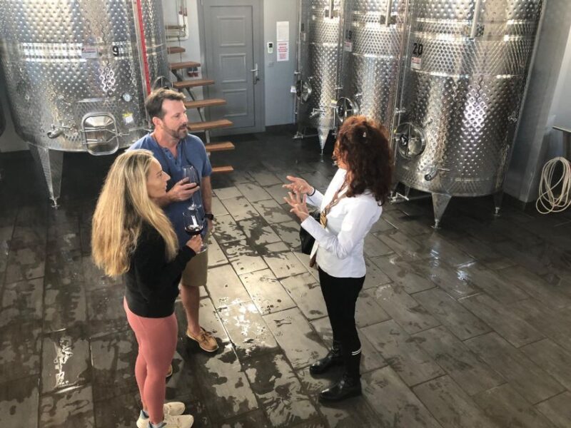 Wine Tour & Tasting in an Organic Winery in Arcadia, Greece - Inclusions and Extras