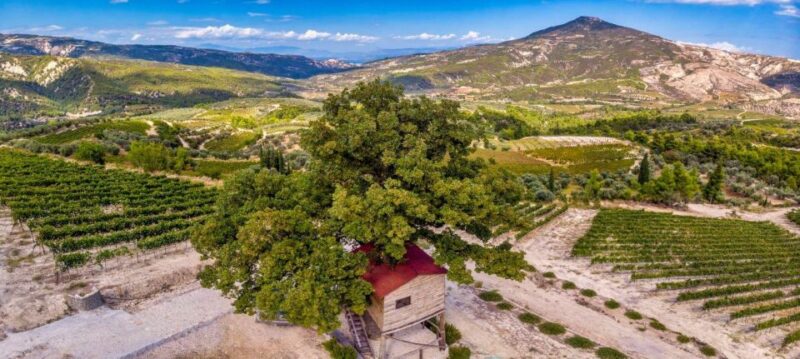 Wine Tour & Tasting in an Organic Winery in Arcadia, Greece - Booking and Availability