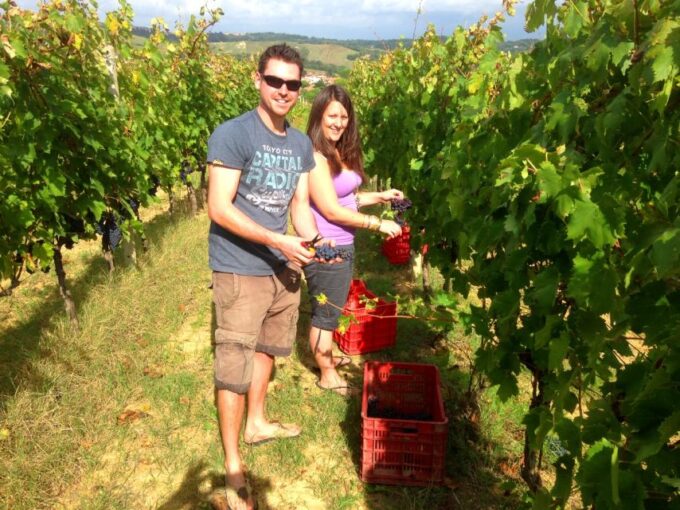 Wine Tour & Tasting in an Organic Winery in Arcadia, Greece - Visiting Kapsia Cave