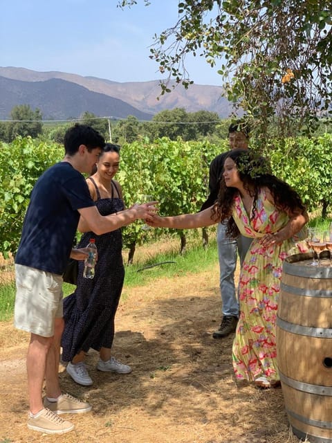 Wine Tour Terroir of the Maipo Valley Organic Vineyard - Key Points