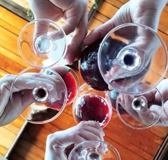 Wine Tour Terroir of the Maipo Valley Organic Vineyard - Itinerary Highlights