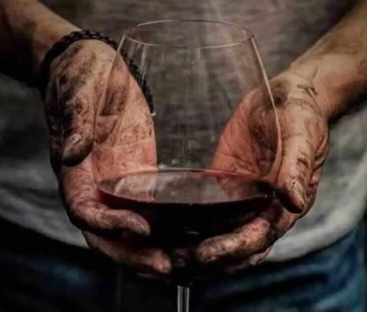 Wine Tour Terroir of the Maipo Valley Organic Vineyard - Winemaking Experience