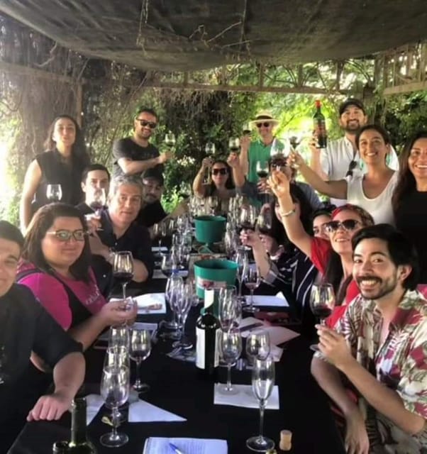 Wine Tour Terroir of the Maipo Valley Organic Vineyard - Gourmet Lunch Experience