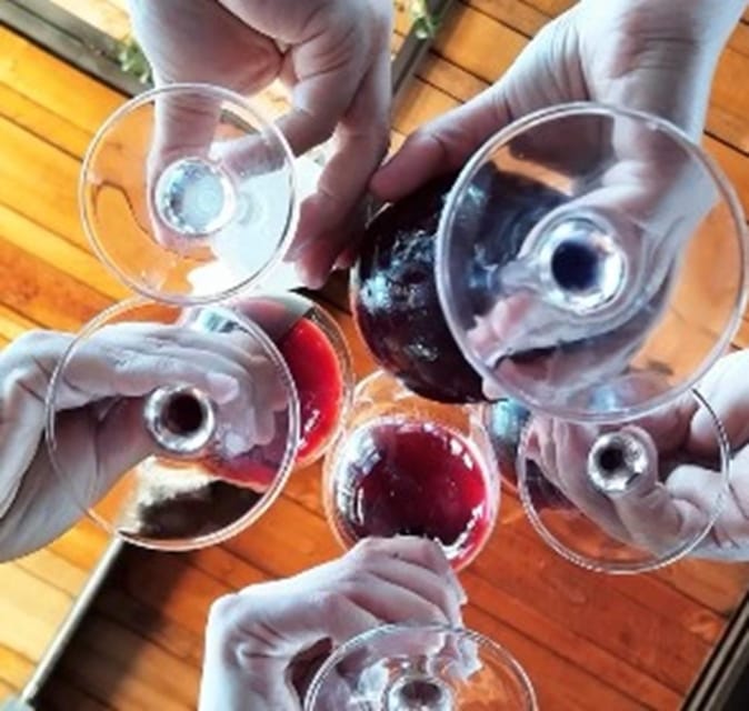 Wine Tour Terroir of the Maipo Valley Organic Vineyard - Customizable Itinerary Options