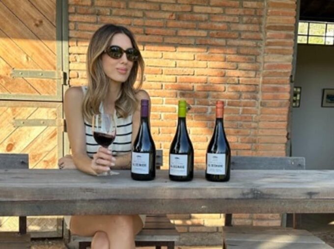 Wine Tour Terroir of the Maipo Valley Organic Vineyard - Tour Inclusions and Exclusions