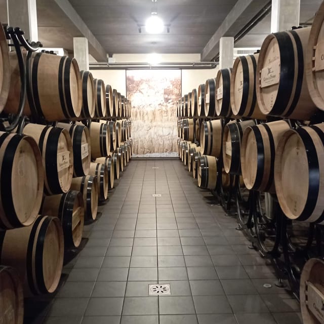 Wine Tour : the Beauty and Flavors of Bordeaux Vineyards. - Exploring Iconic Châteaux
