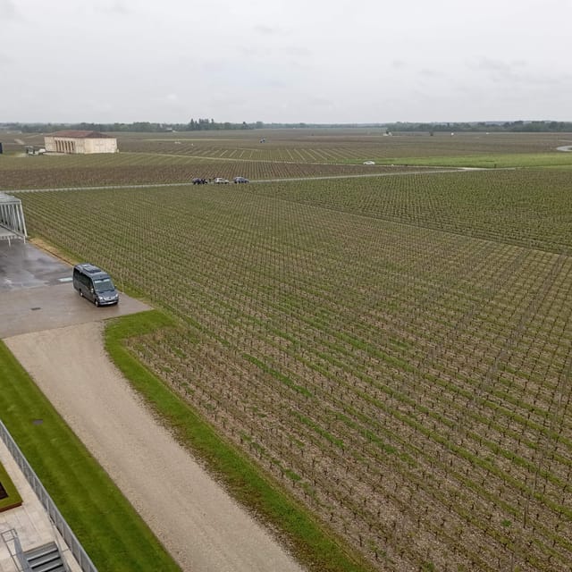 Wine Tour : the Beauty and Flavors of Bordeaux Vineyards. - Frequently Asked Questions