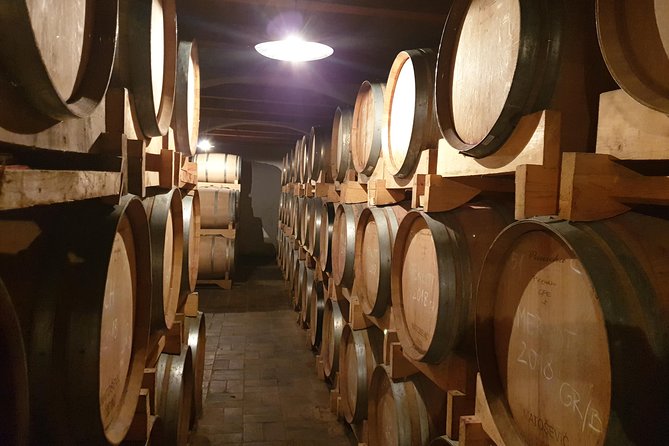 Wine Tour - The Best of Istria - Transportation Details