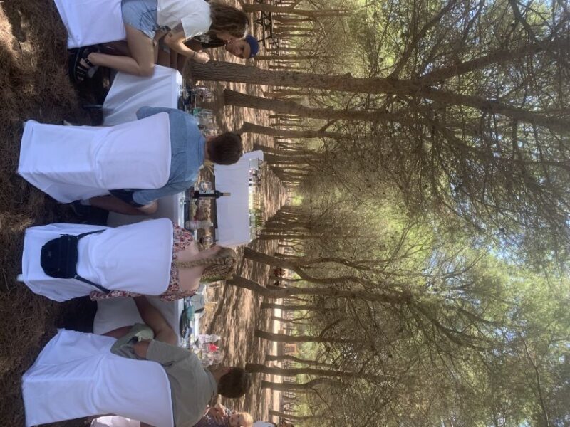 Wine Tour Through the Vineyards With Tasting by Salt Lake - Key Points