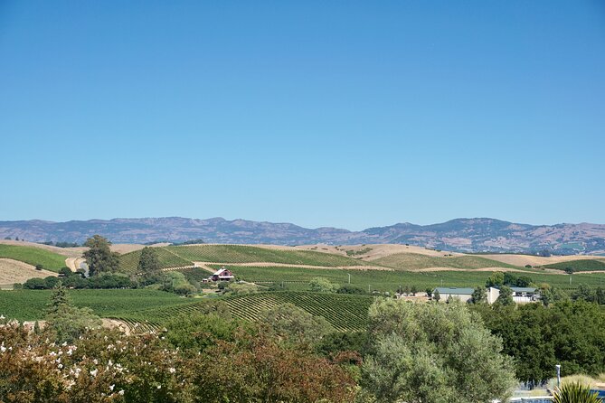 Wine Tour Transportation Services in Napa Valley - Accessibility and Participation