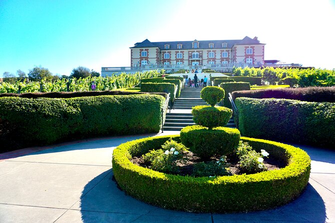 Wine Tour Transportation Services in Napa Valley - Customer Feedback and Ratings