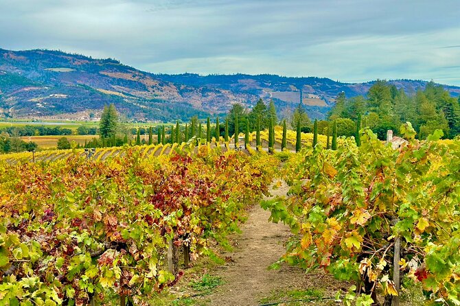 Wine Tour Transportation Services in Napa Valley - Comparison to Other Options
