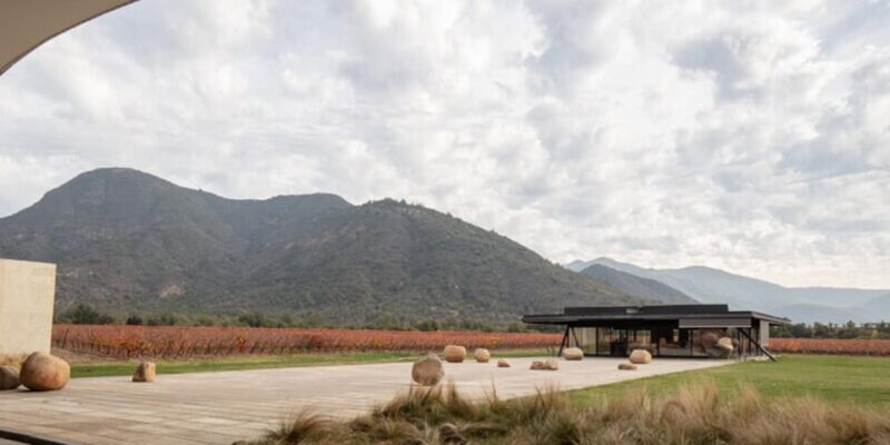 Wine Tour Viña Vik and Culinary Experience at Pavilion - Experience Highlights