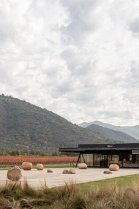 Wine Tour Viña Vik and Culinary Experience at Pavilion - Additional Information
