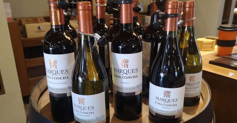 Wine Tour With 7 Tastings + Private Transport + Lapis Lazuli - Itinerary Highlights