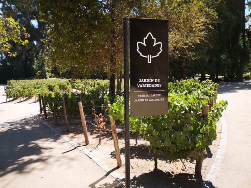 Wine Tour With 7 Tastings + Private Transport + Lapis Lazuli - Transportation and Amenities