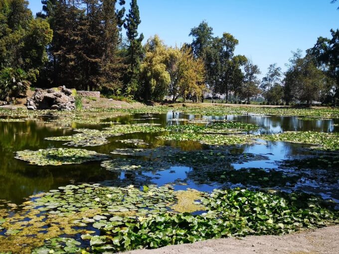 Wine Tour With 7 Tastings + Private Transport + Lapis Lazuli - Language Options