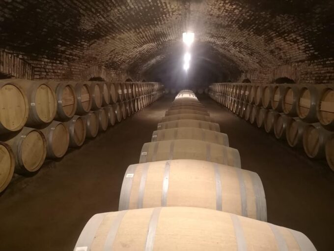Wine Tour With 7 Tastings + Private Transport + Lapis Lazuli - Cancellation Policy