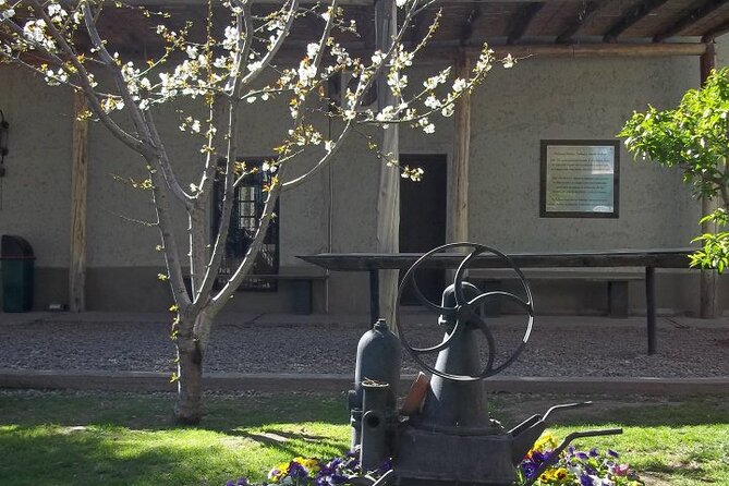 Wine Tour With Lunch and Transport in Mendoza - Inclusions