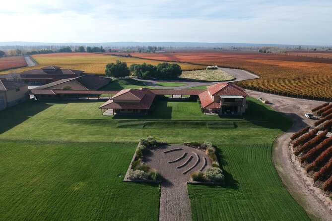 Wine Tour With Lunch and Transport in Mendoza - Casa Bermellon