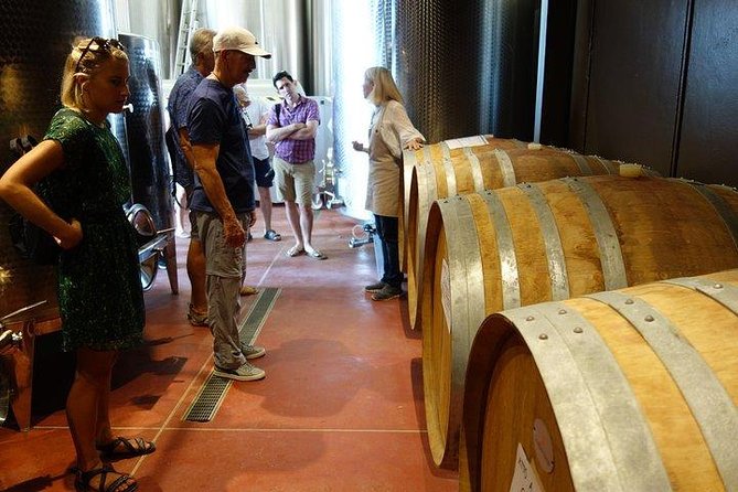 Wine Tour With Lunch and Wine Tasting - Grape Varietals and Olive Orchards