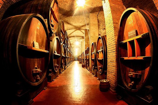 Wine Tour With Lunch From Mendoza - Bodega Los Toneles Visit