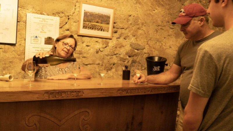 Wine Tour With Private Driver - 10 Hours - Just The Basics