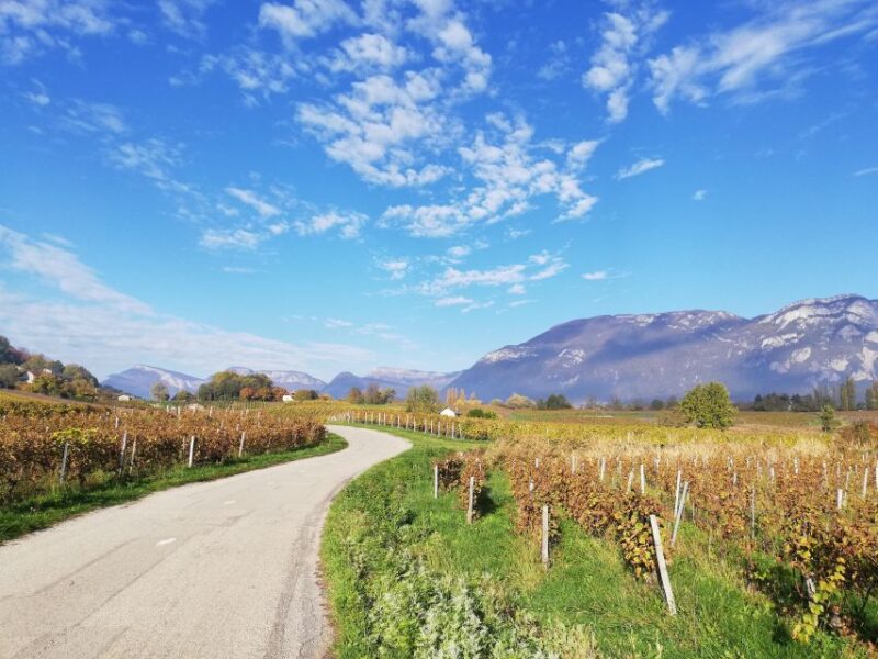 Wine Tour With Private Driver - 10 Hours - Manufacturing Secrets and Production Processes