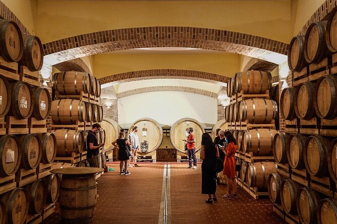 WINE TOUR With Sommelier in a Winery Near Cagliari - Reviews and Feedback