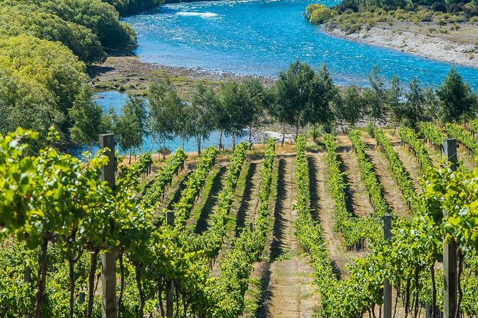 Wine Tour With Wine Tasting From Wanaka - Customer Reviews and Experiences