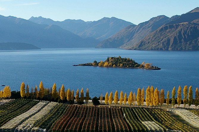 Wine Tour With Wine Tasting From Wanaka - Gourmet Food and Wine Matching