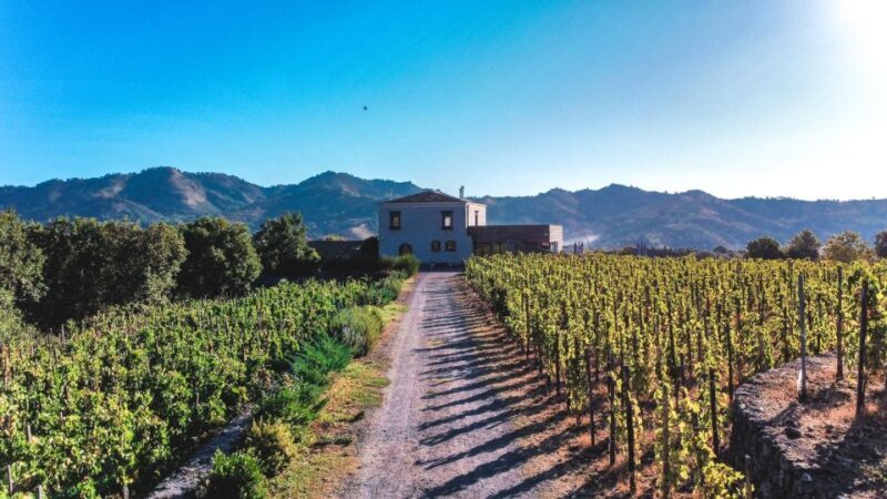 Wine Tour With Wine Tasting - Key Points