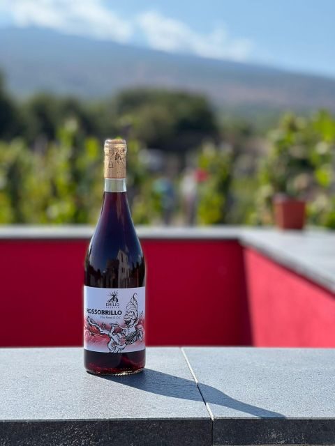 Wine Tour With Wine Tasting - Overview of the Wine Tour Experience