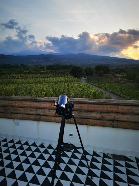 Wine Tour With Wine Tasting - Wine Tasting Selection