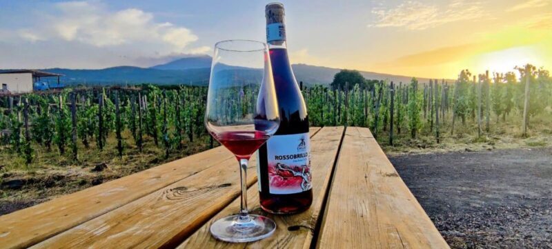 Wine Tour With Wine Tasting - Focus on Organic Wine Production