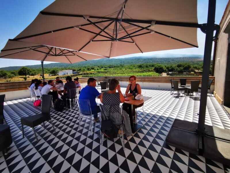 Wine Tour With Wine Tasting - Customer Feedback and Ratings