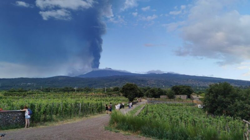 Wine Tour With Wine Tasting - Accessibility and Meeting Point Information