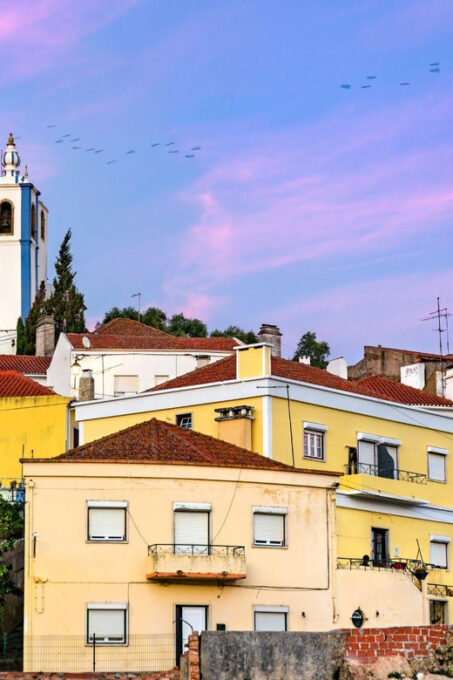 Wine Tourism Farm Visit + Torres Vedras City Visit - Departure and Return