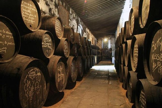 Wine Tourism Half Day Tour - Inclusions and Accessibility