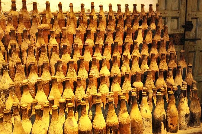 Wine Tourism Half Day Tour - Reviews and Feedback