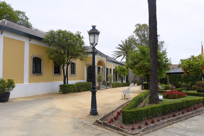 Wine Tourism Half Day Tour - Wine Tasting Highlights