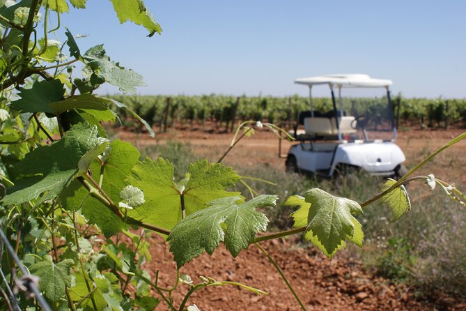 Wine Tourism: Wine Tasting - Customer Reviews