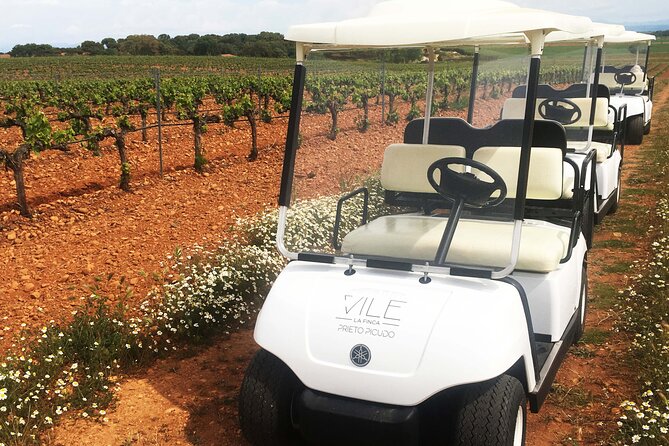 Wine Tourism: Wine Tasting - Frequently Asked Questions