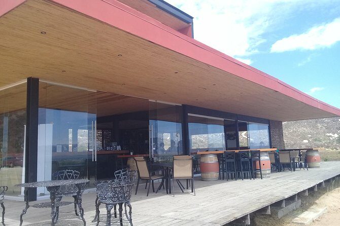 wine tours and driver service through valle de guadalupe, Ensenada B.C. Mexico - An In-Depth Look at the Valle de Guadalupe Wine Tour